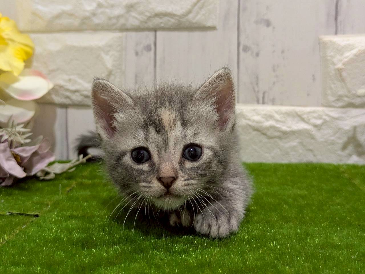 赤ちゃん写真2-1