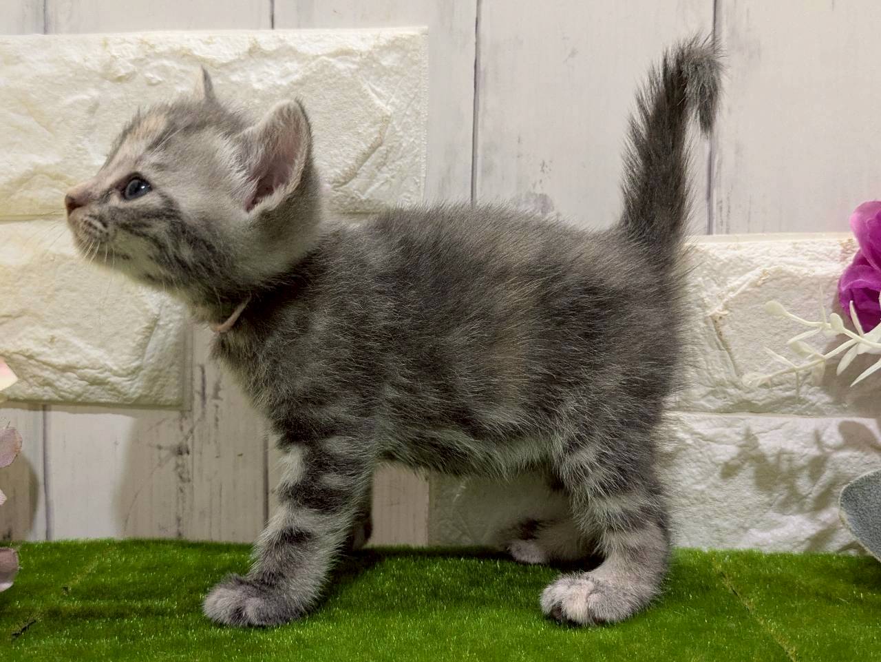 赤ちゃん写真2-2