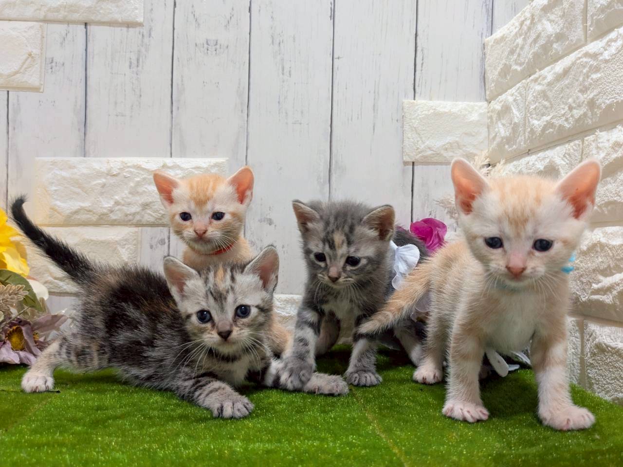 赤ちゃん写真2-3