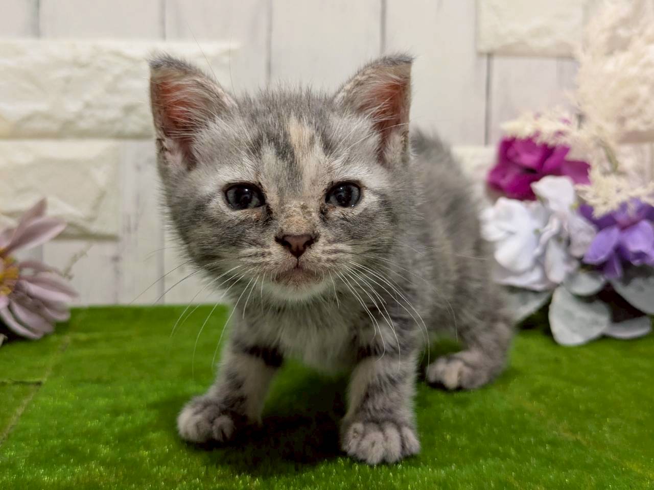 赤ちゃん写真3-1