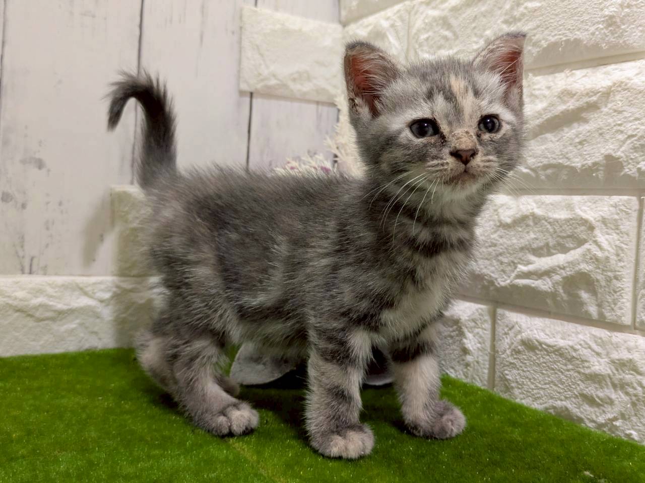 赤ちゃん写真3-2