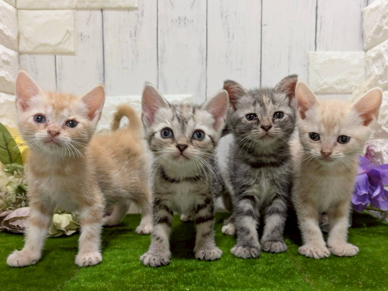 赤ちゃん写真3-3