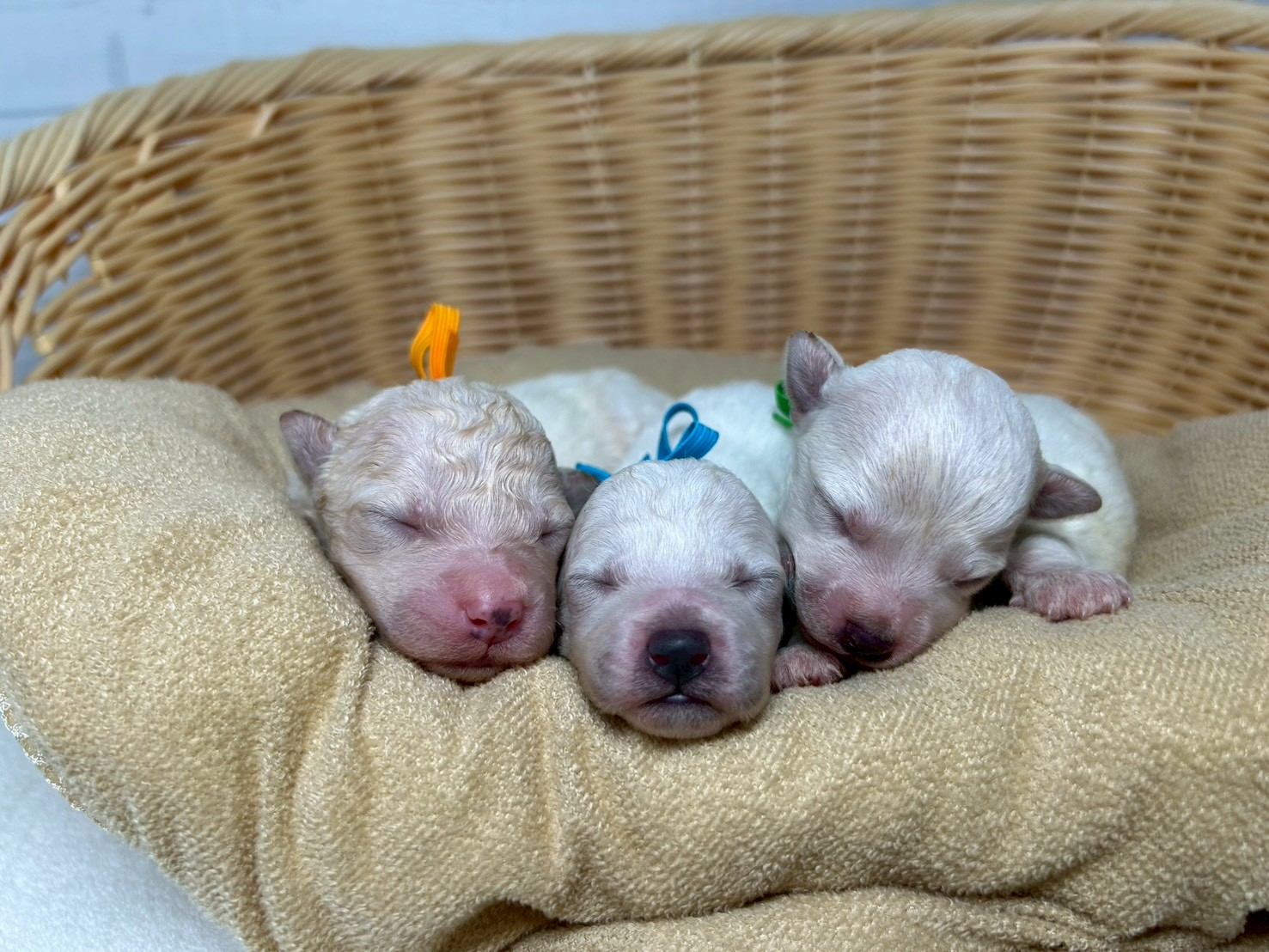 赤ちゃん写真1-3