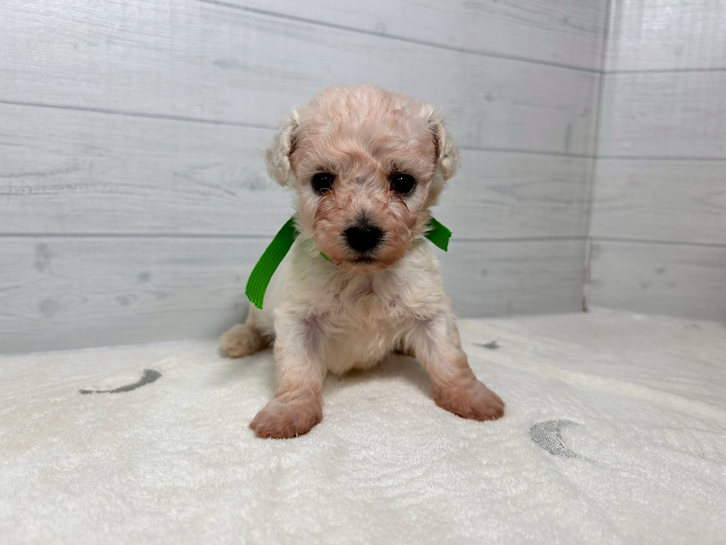 赤ちゃん写真2-1