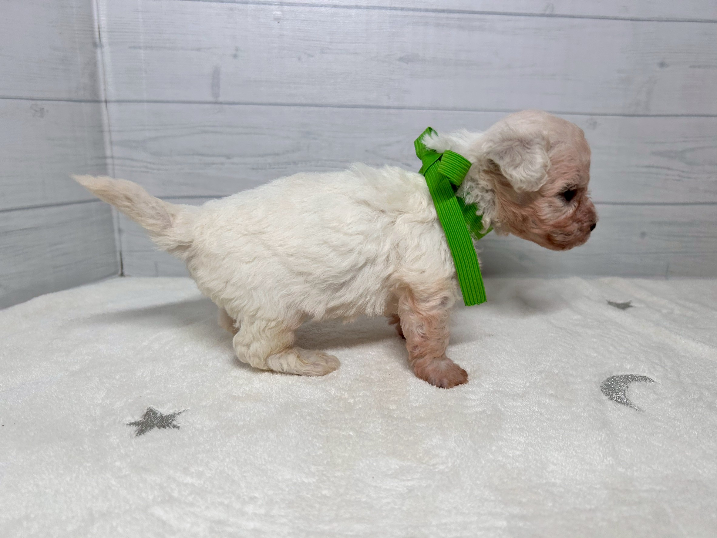 赤ちゃん写真2-2