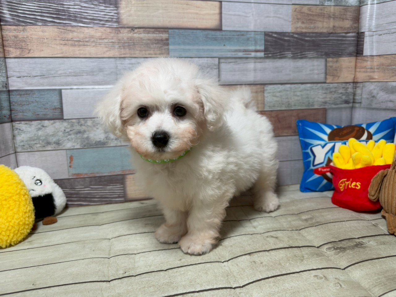 赤ちゃん写真3-1