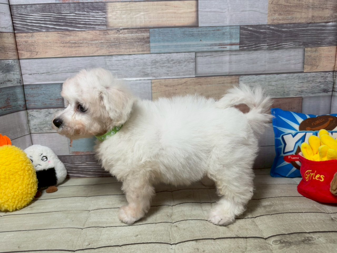 赤ちゃん写真3-2