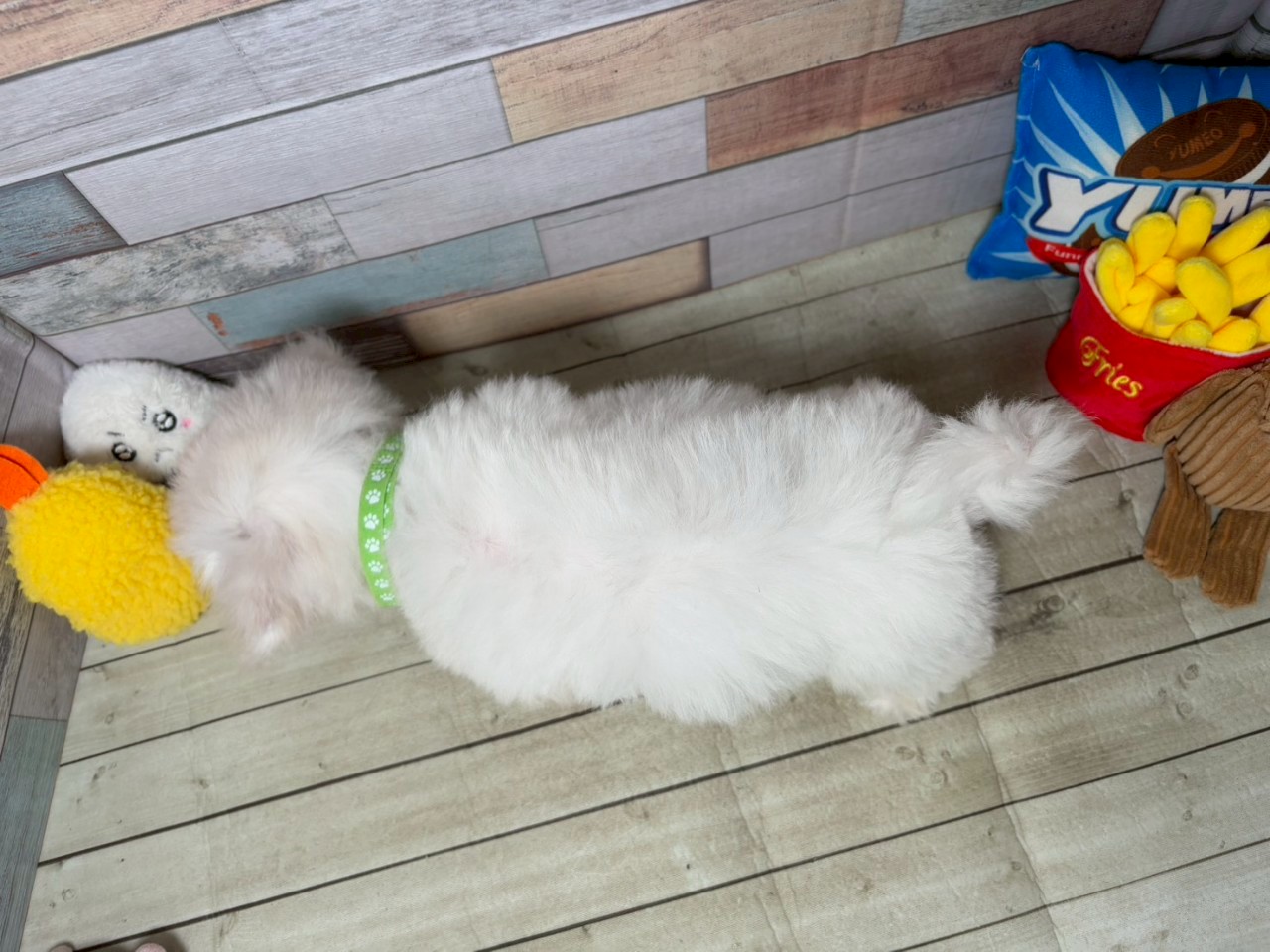 赤ちゃん写真3-3