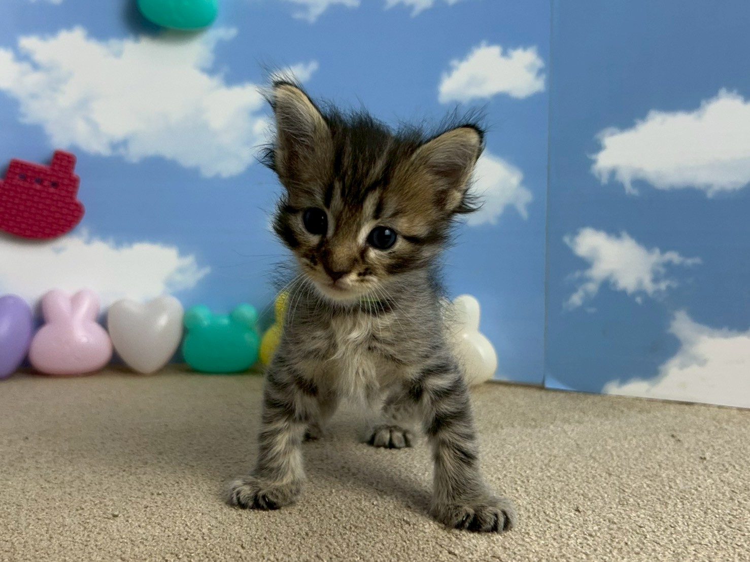 赤ちゃん写真1-1