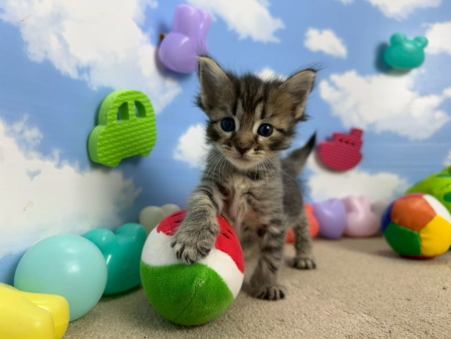 赤ちゃん写真1-2