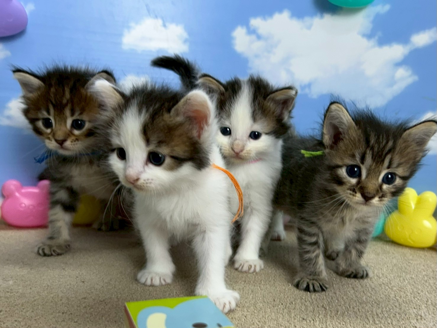 赤ちゃん写真1-3