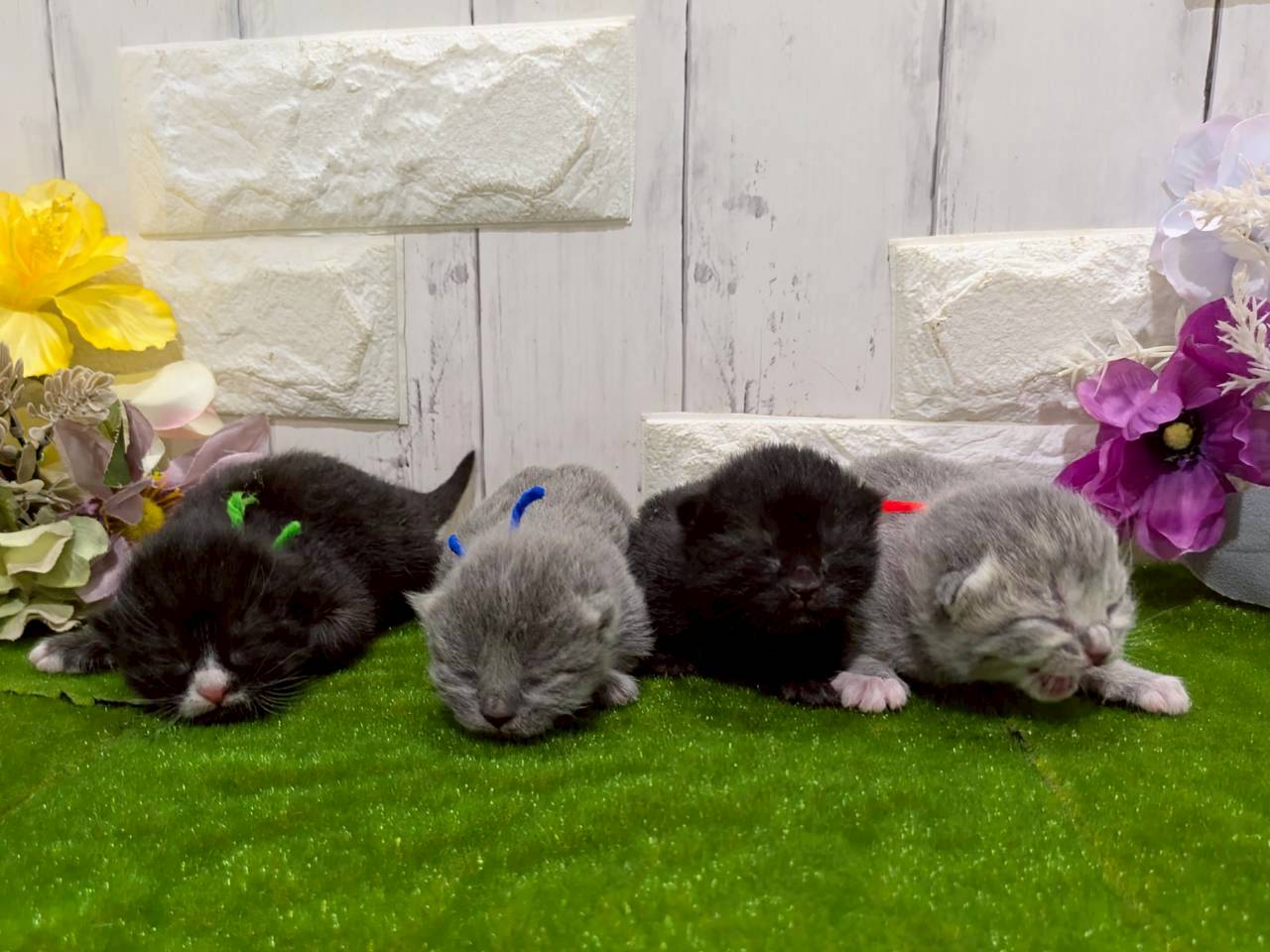 赤ちゃん写真1-3