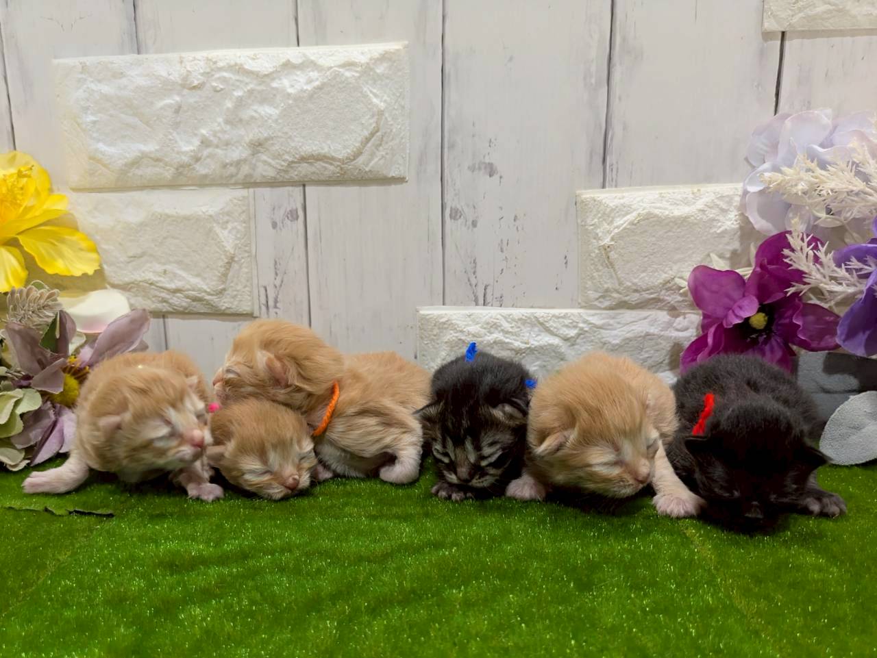 赤ちゃん写真1-3