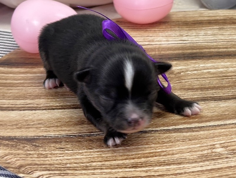 赤ちゃん写真1-1