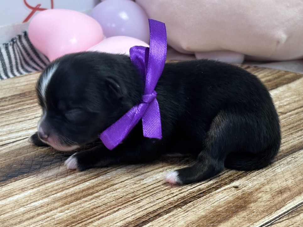 赤ちゃん写真1-2