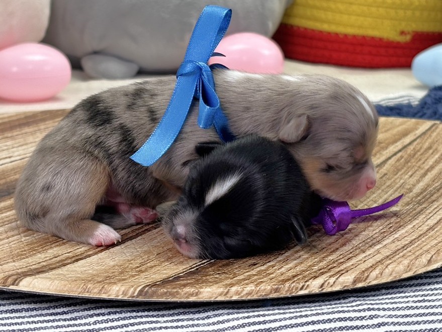 赤ちゃん写真1-3