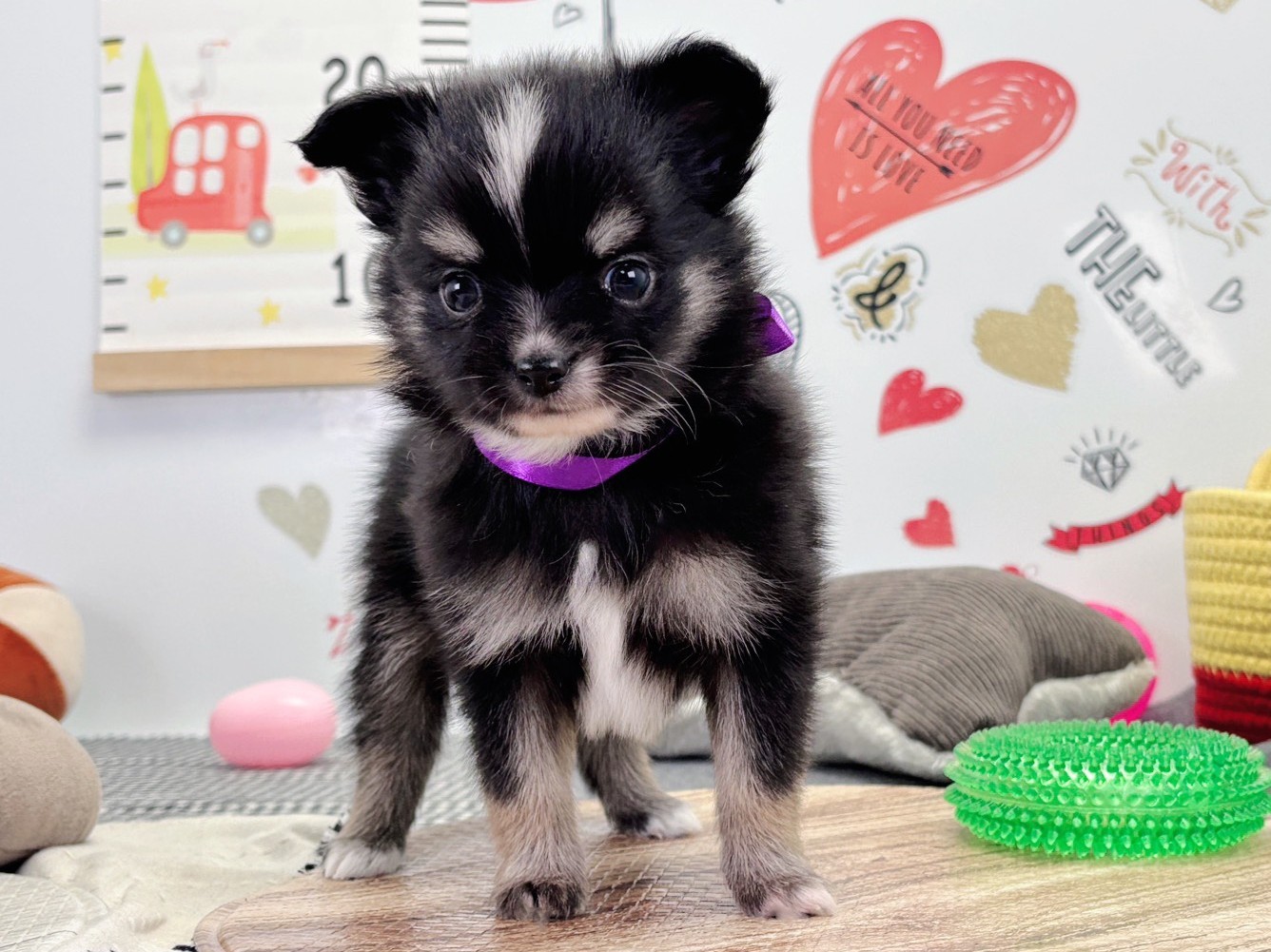 赤ちゃん写真2-1