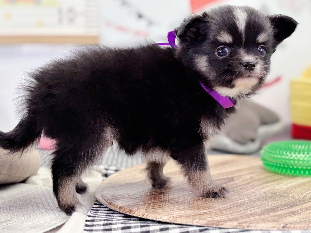 赤ちゃん写真2-2