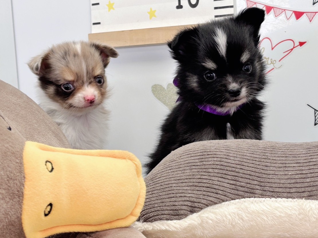 赤ちゃん写真2-3