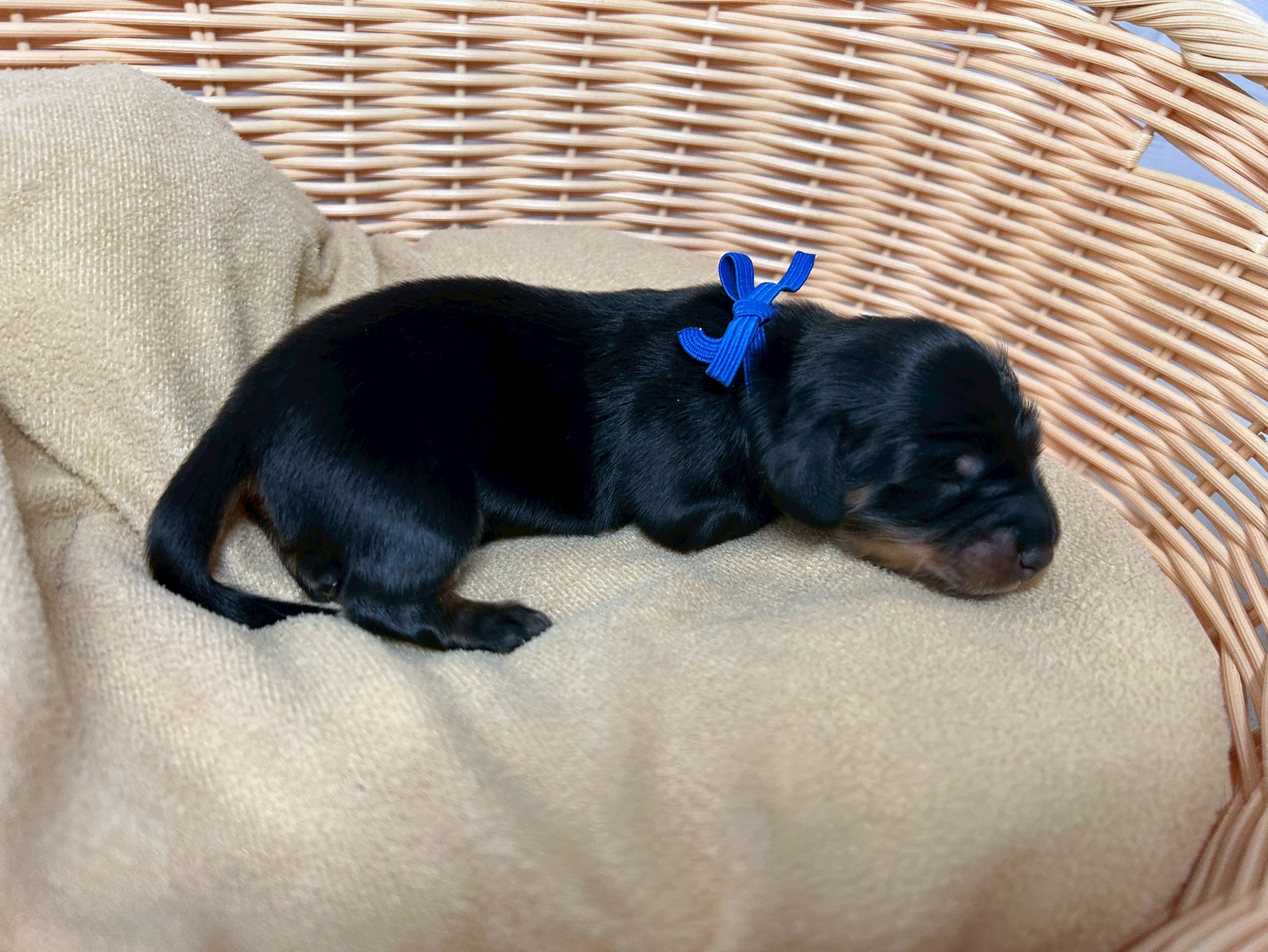 赤ちゃん写真1-2