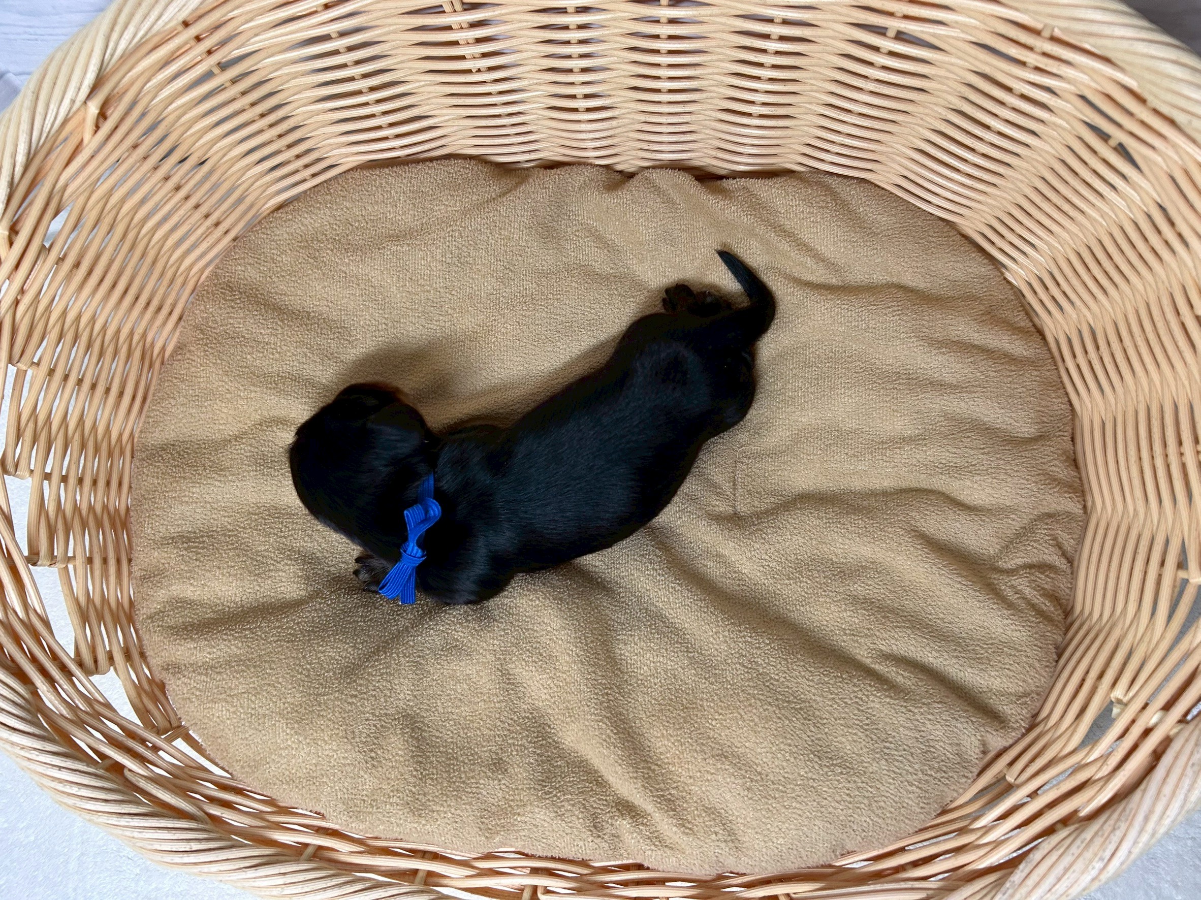 赤ちゃん写真1-3