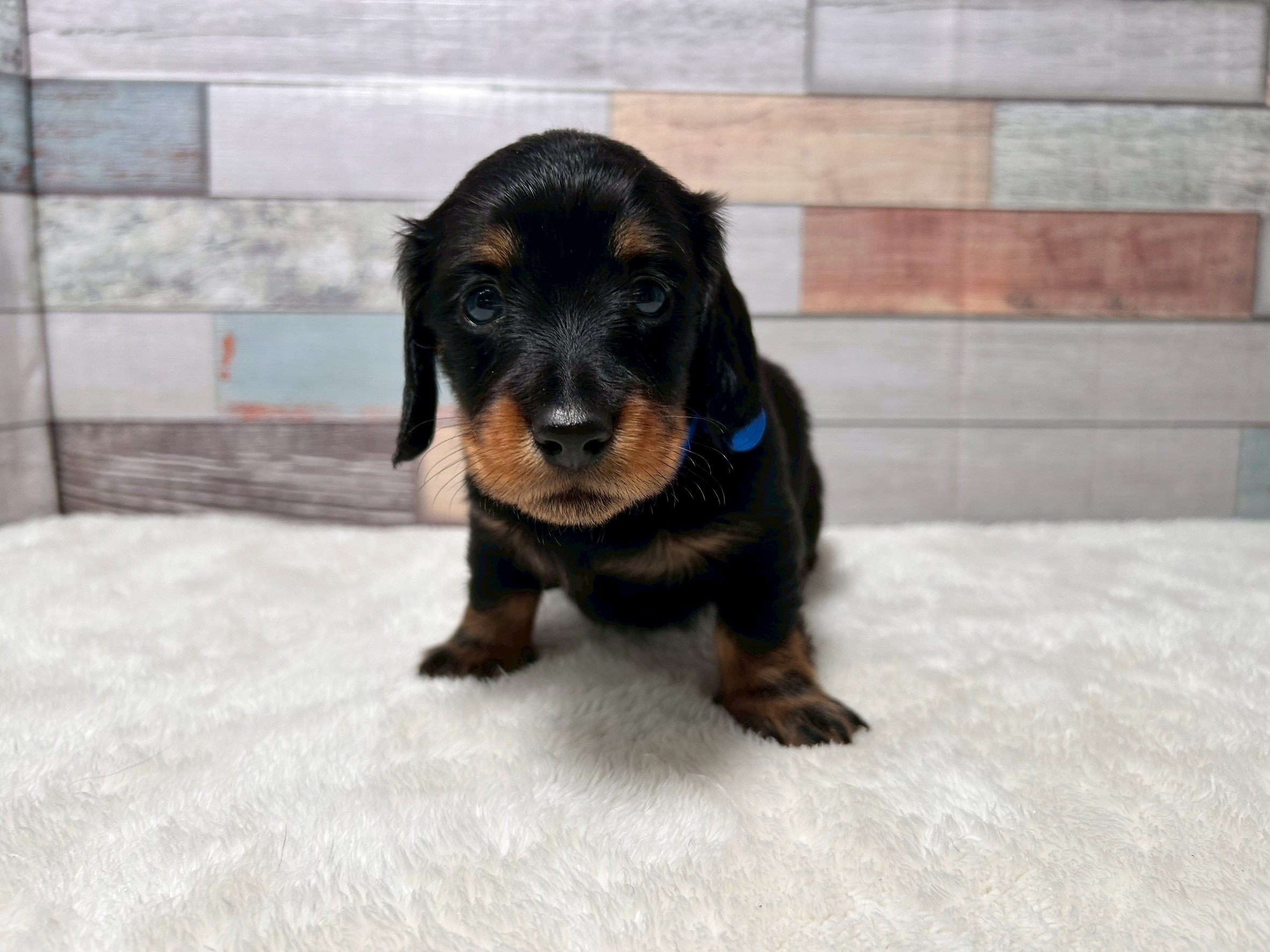 赤ちゃん写真2-1