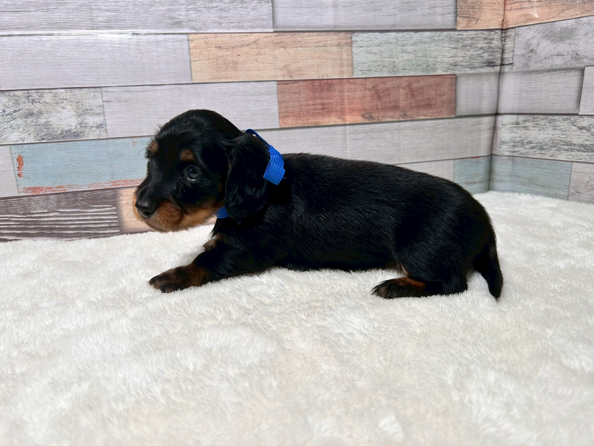 赤ちゃん写真2-2