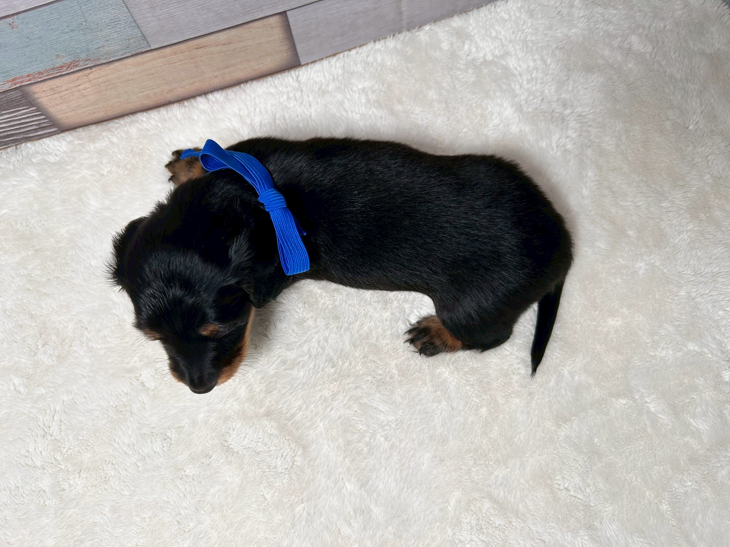 赤ちゃん写真2-3