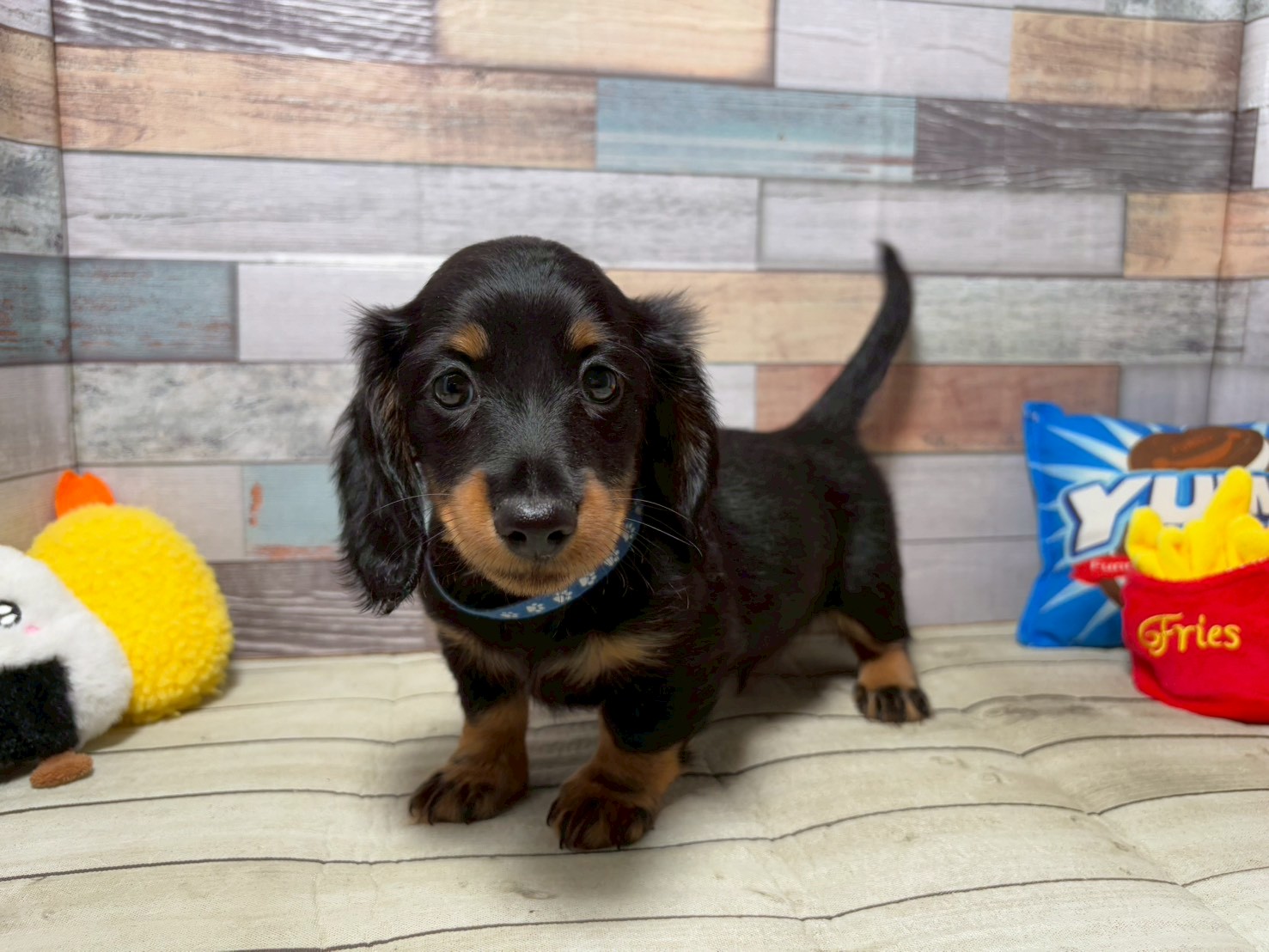 赤ちゃん写真3-1