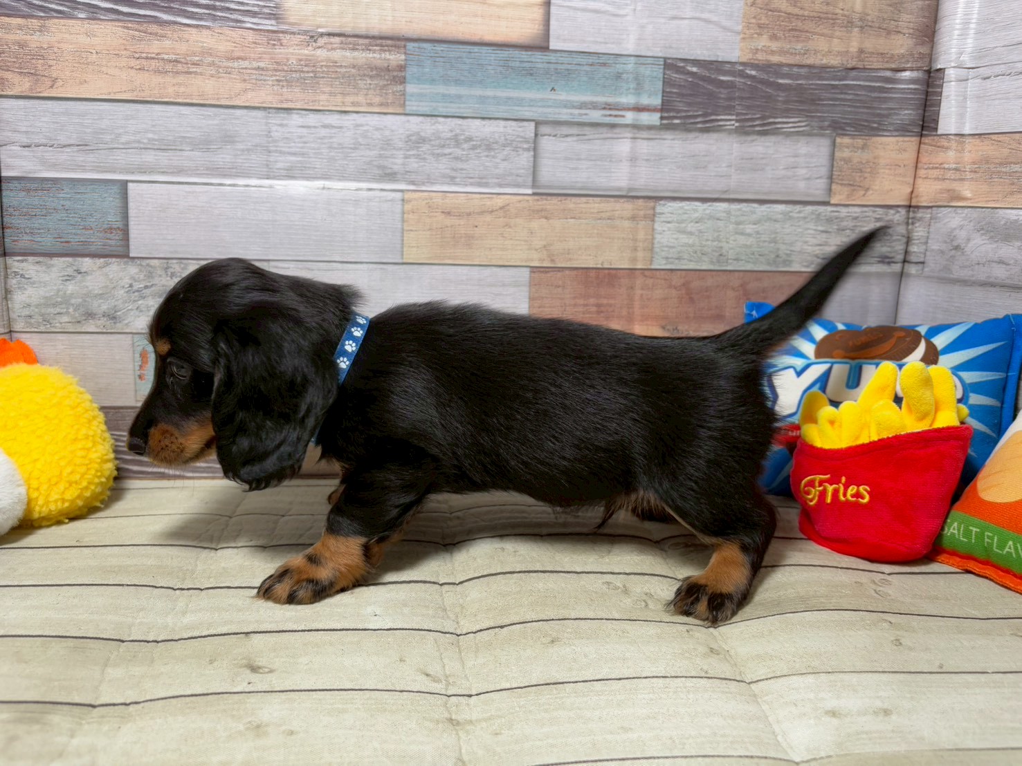 赤ちゃん写真3-2