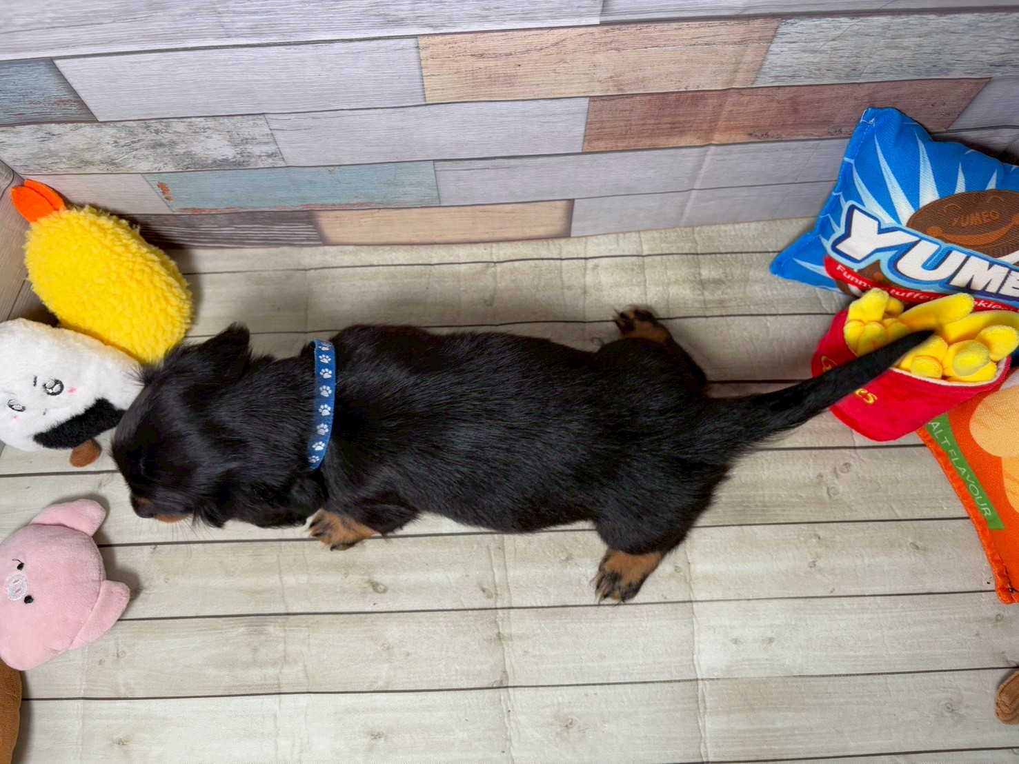 赤ちゃん写真3-3