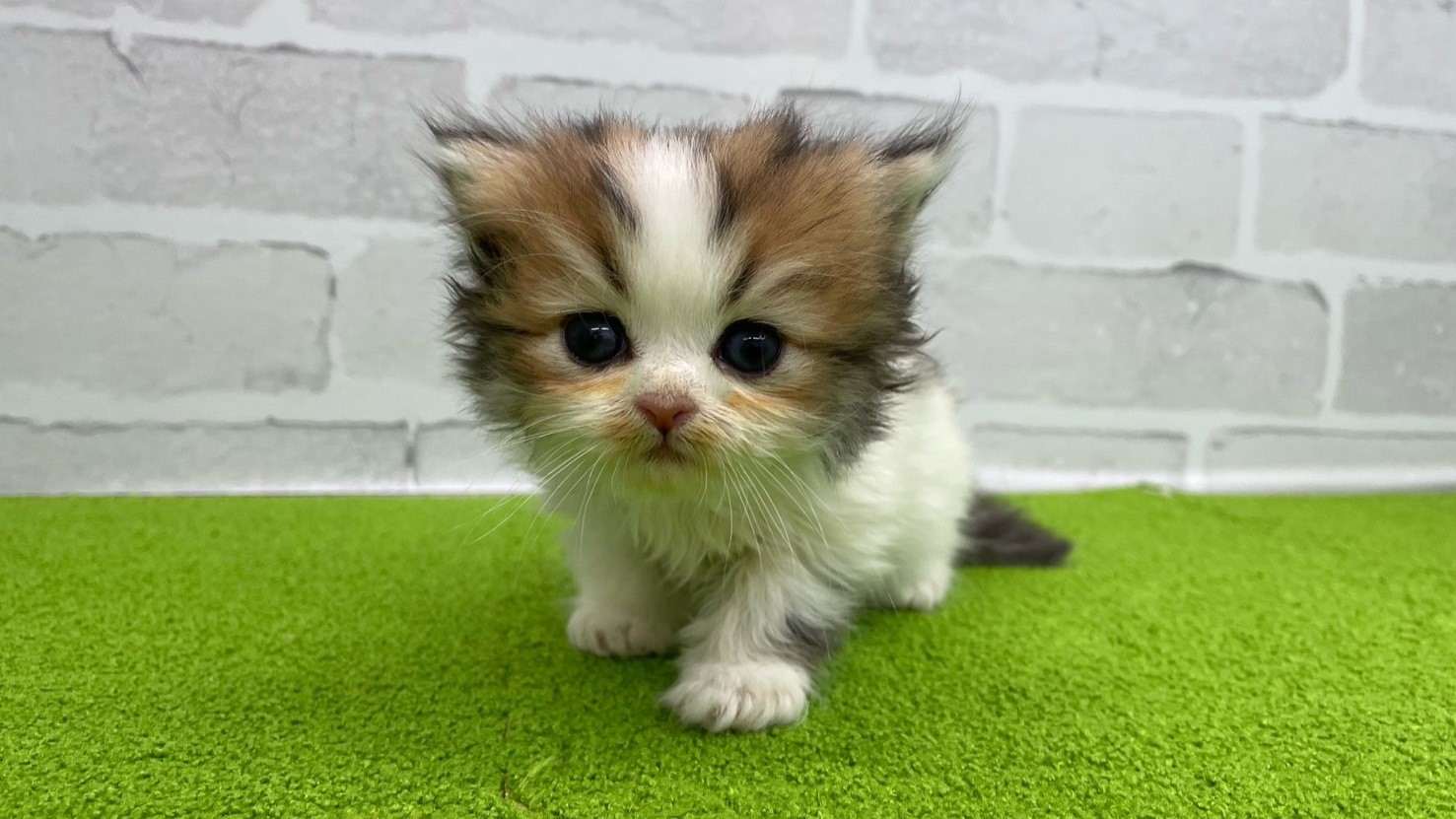 赤ちゃん写真2-1