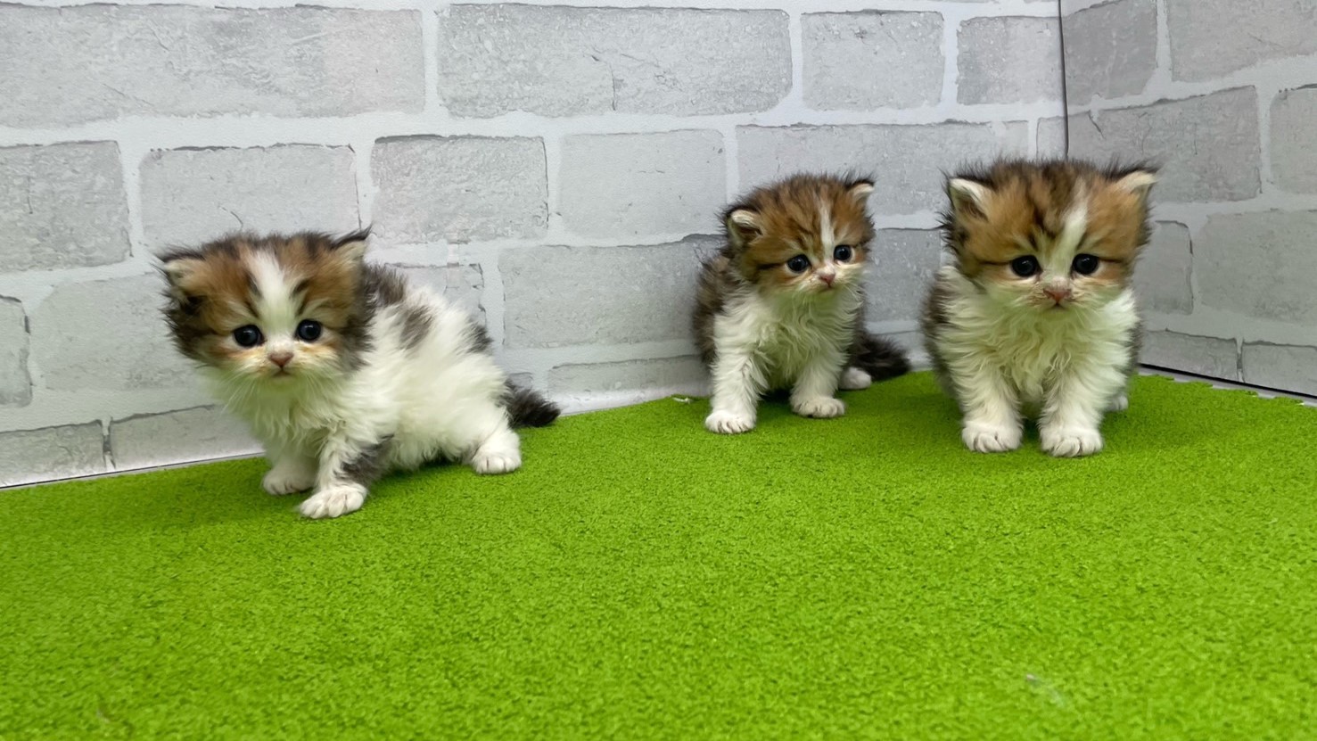 赤ちゃん写真2-3
