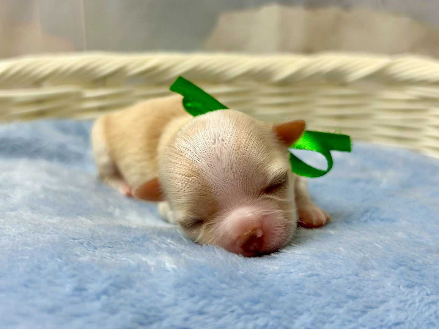 赤ちゃん写真1-1