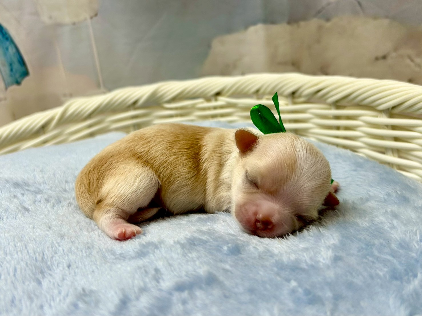 赤ちゃん写真1-2