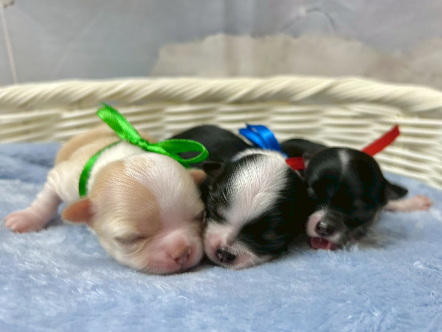 赤ちゃん写真1-3