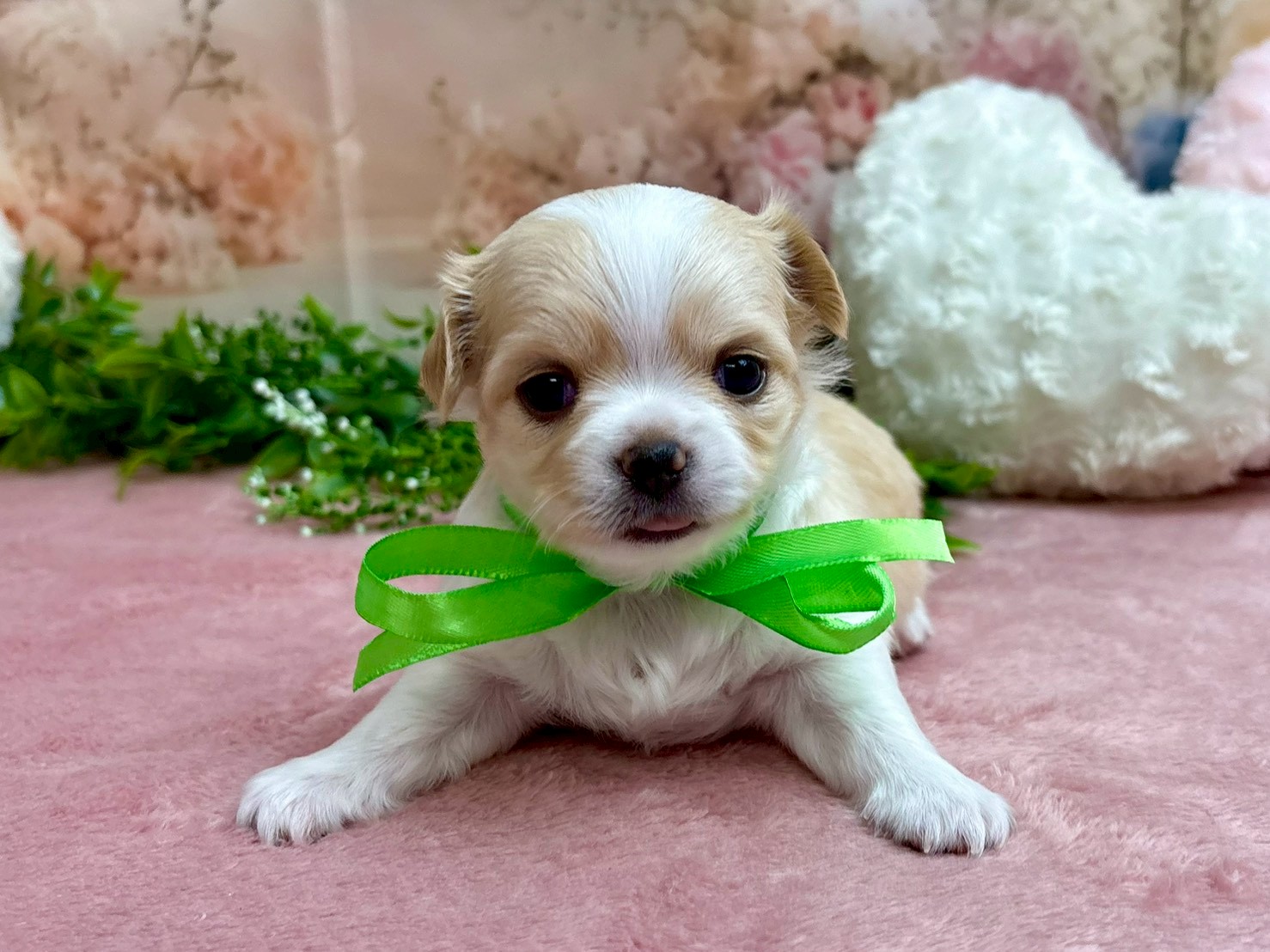 赤ちゃん写真2-1