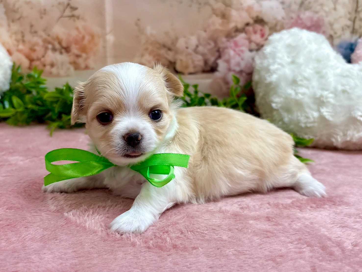 赤ちゃん写真2-2