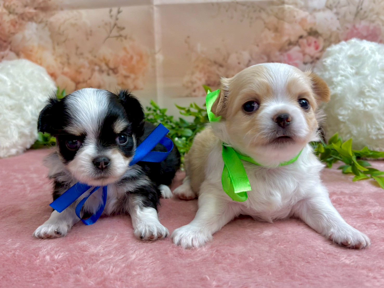 赤ちゃん写真2-3