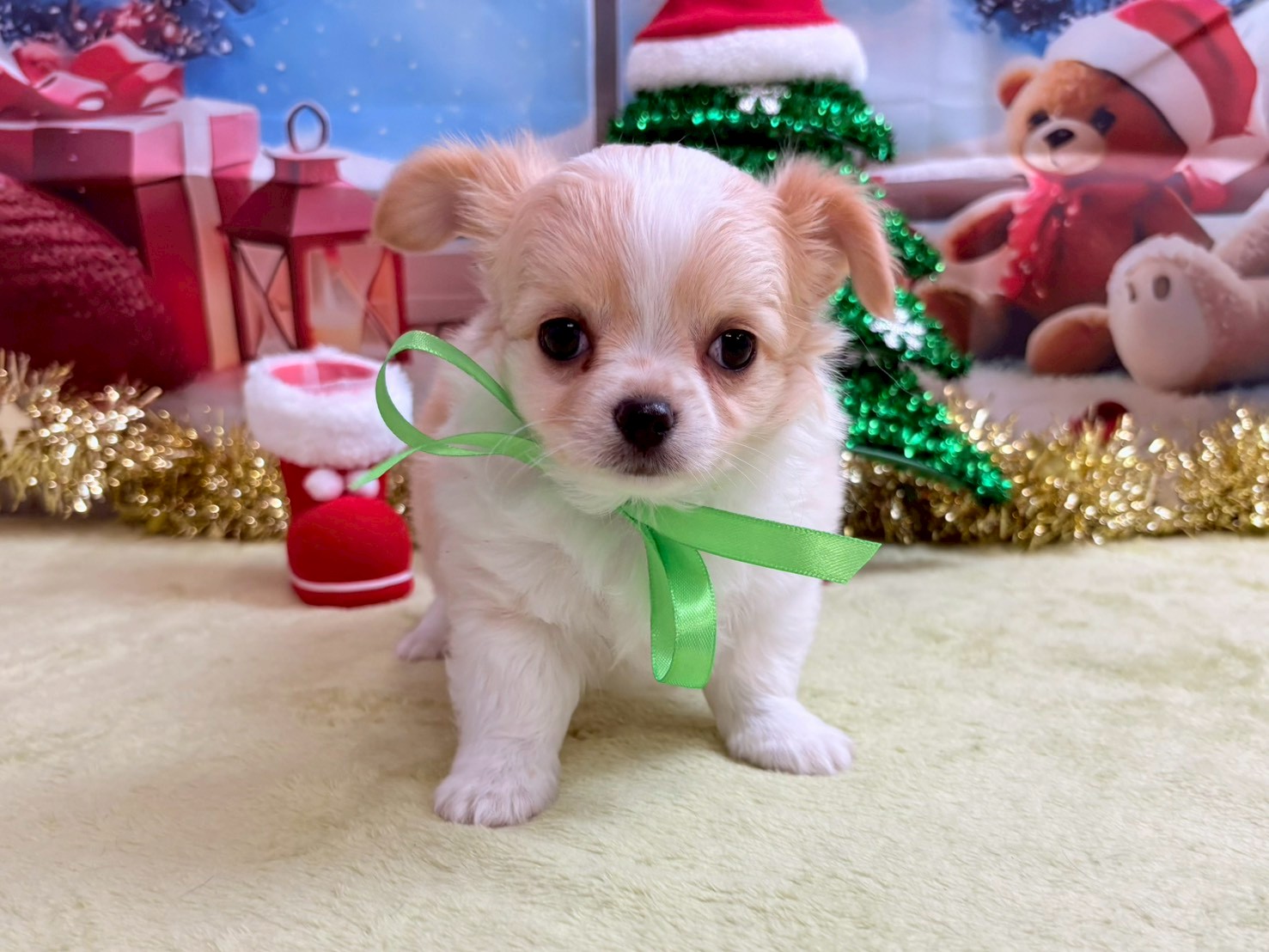 赤ちゃん写真3-1