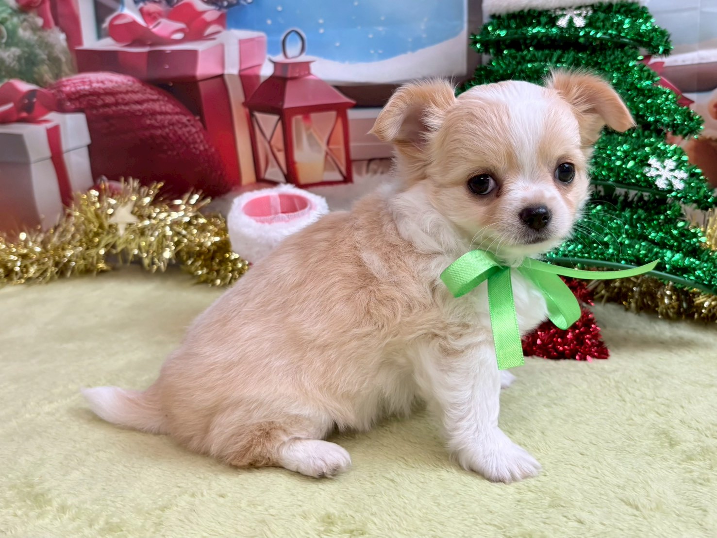 赤ちゃん写真3-2