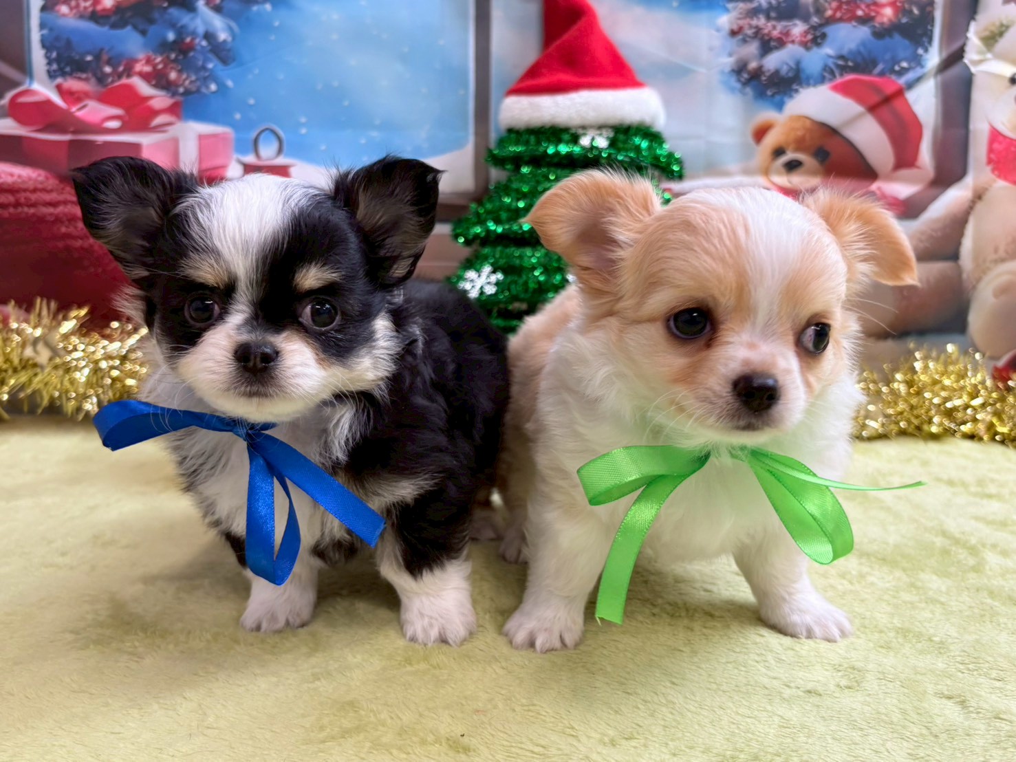 赤ちゃん写真3-3