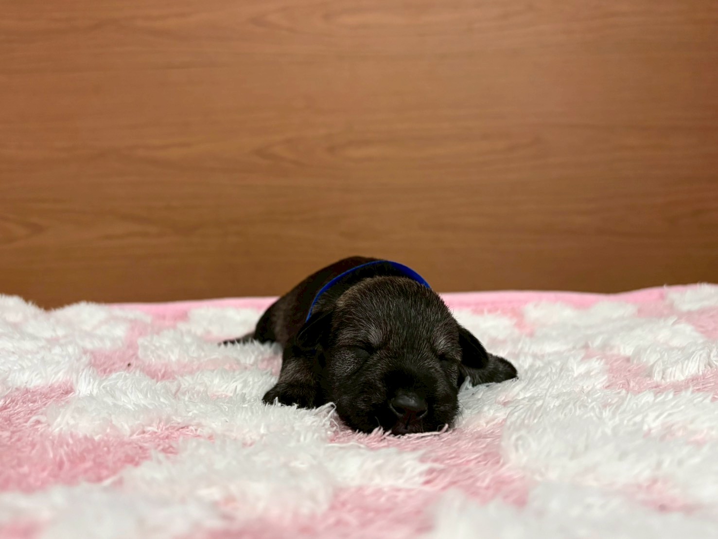 赤ちゃん写真1-1