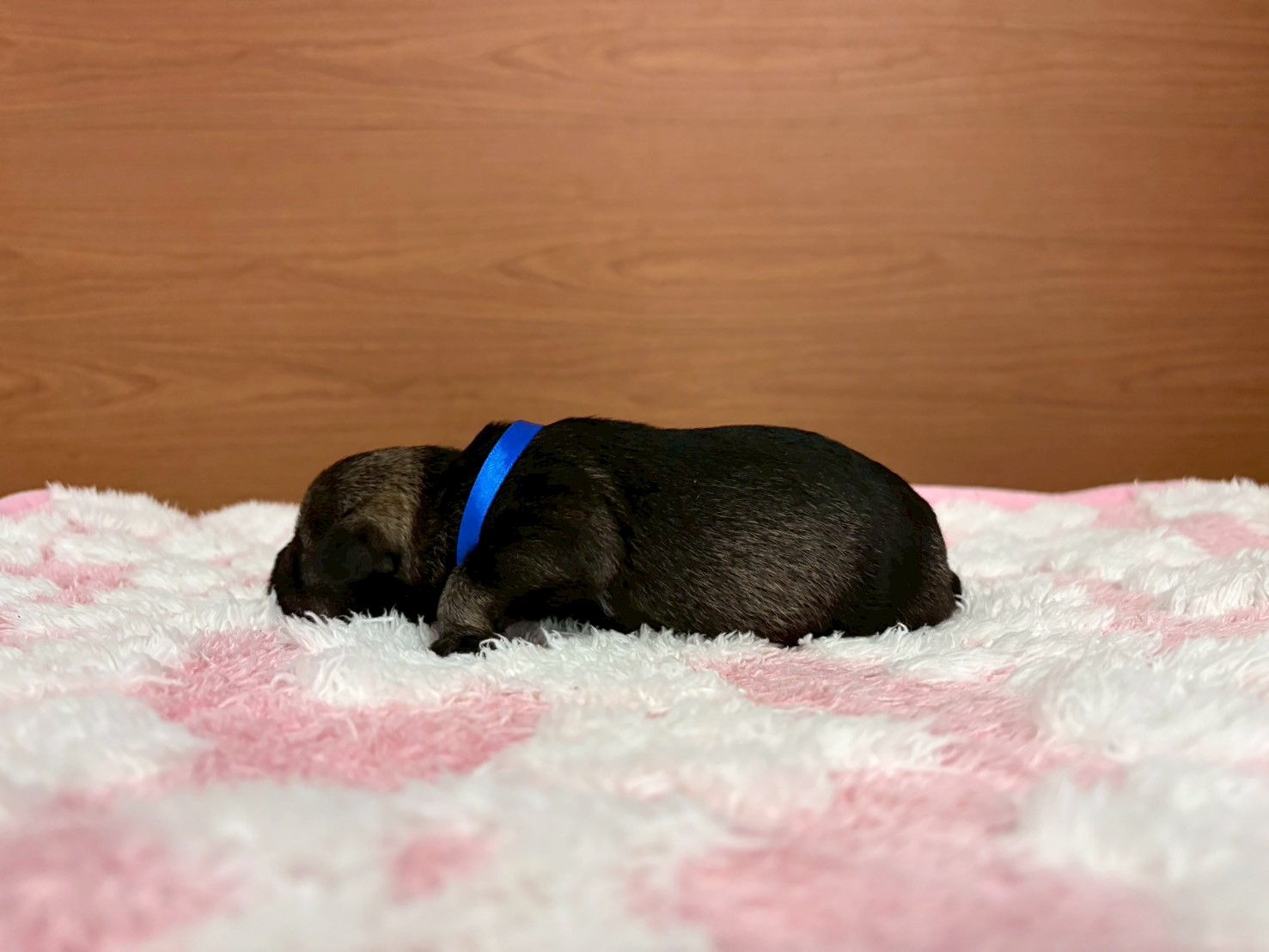 赤ちゃん写真1-2