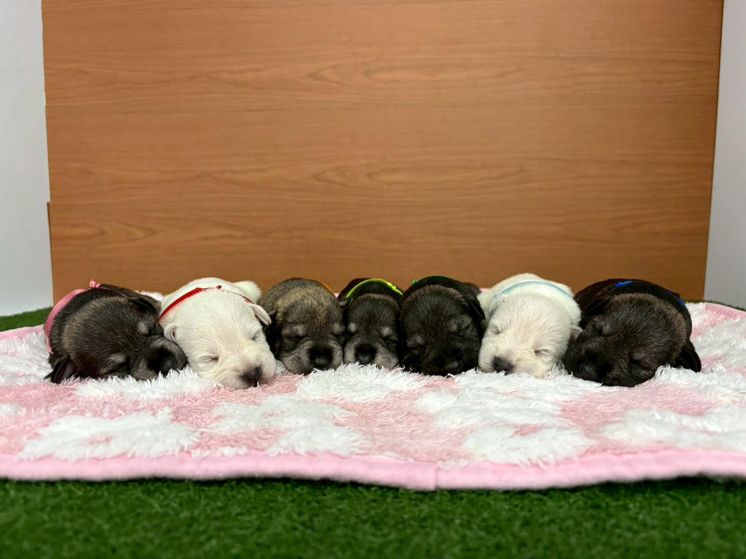 赤ちゃん写真1-3