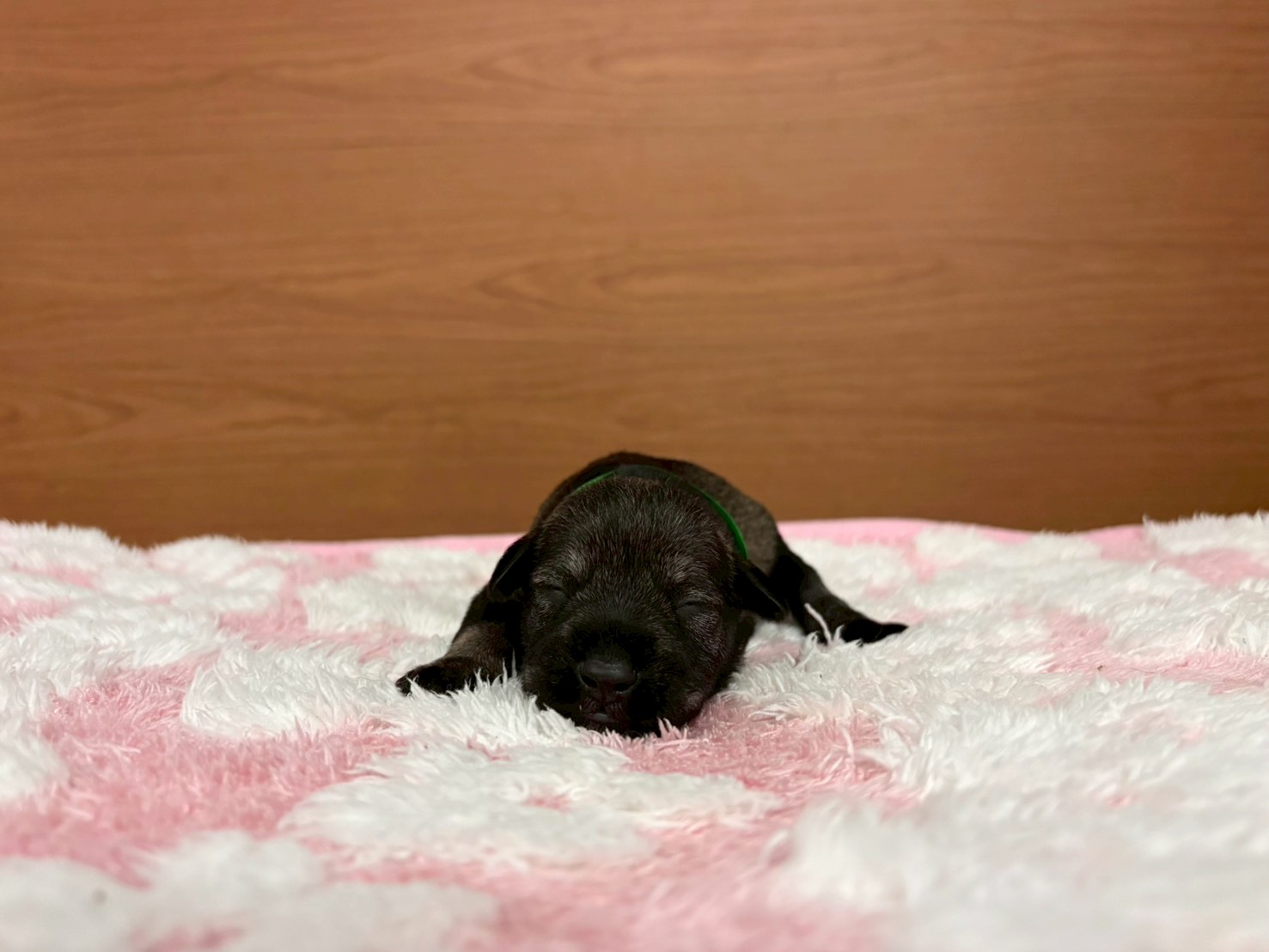 赤ちゃん写真1-1