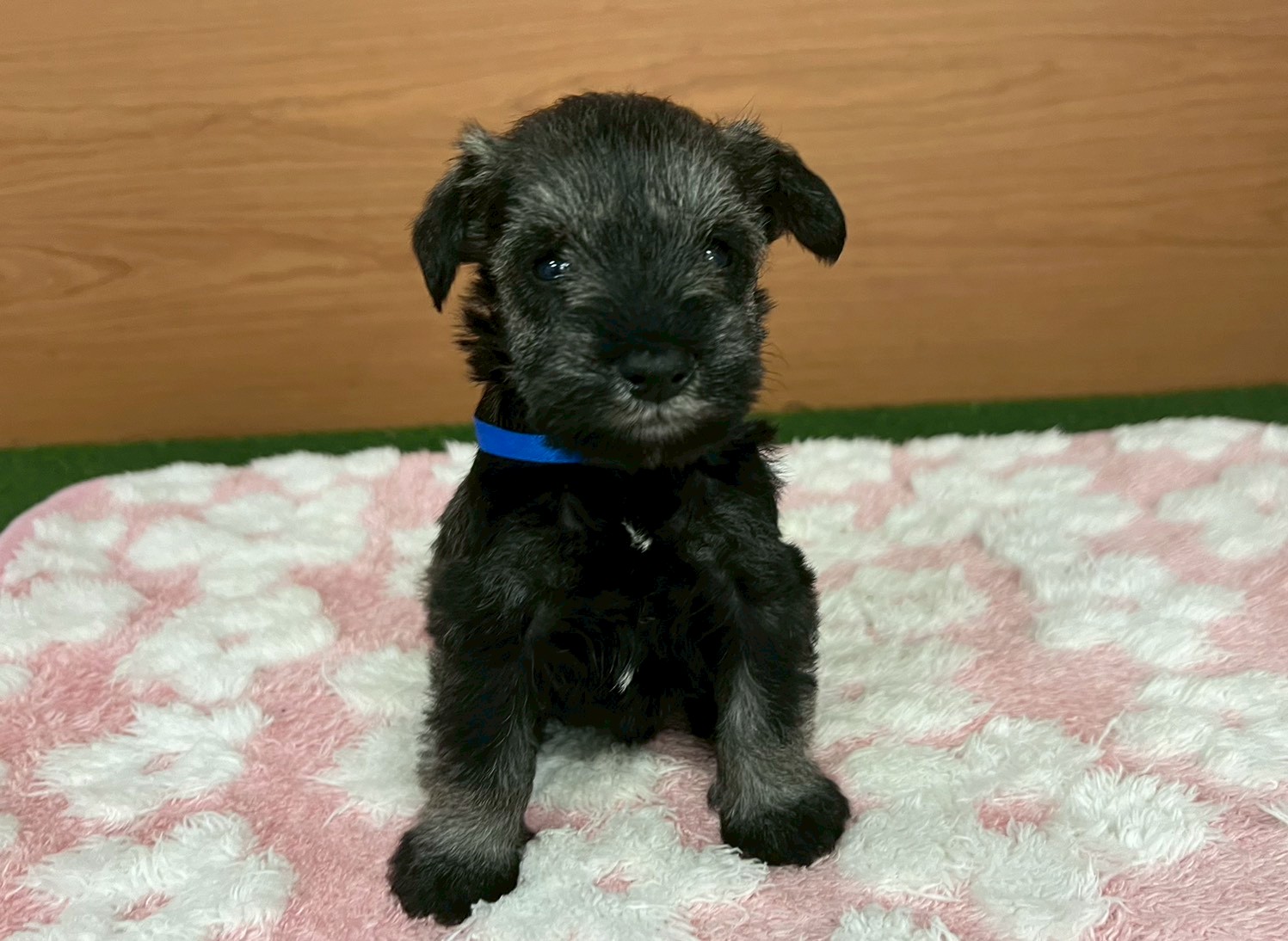 赤ちゃん写真2-1