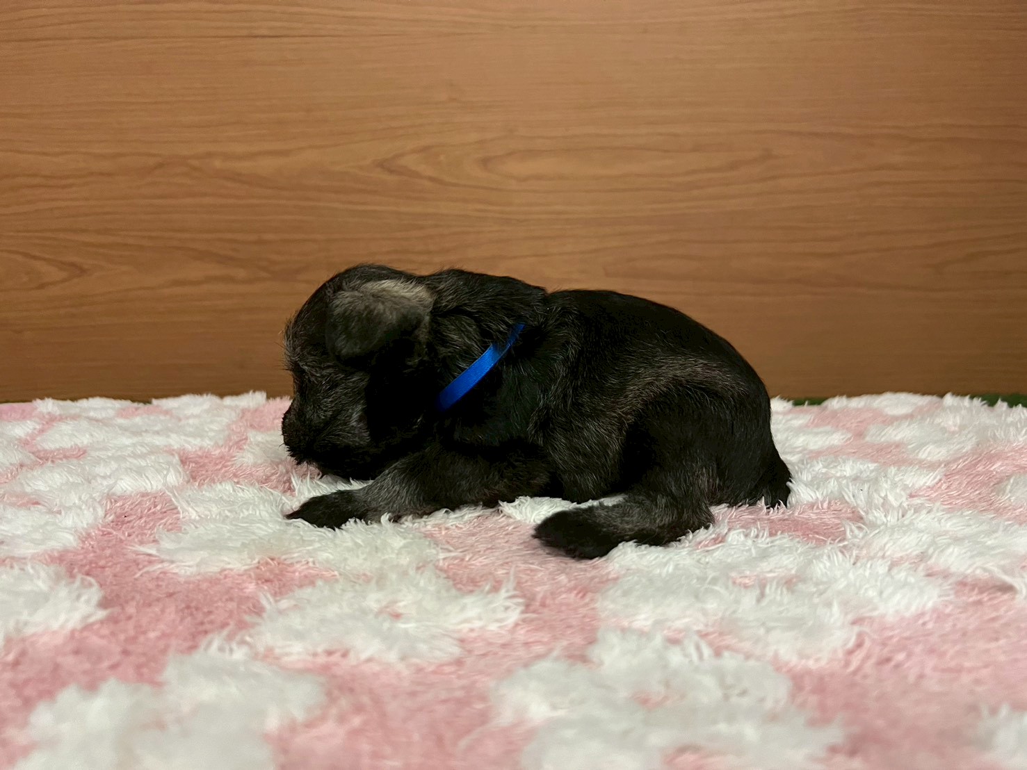 赤ちゃん写真2-2