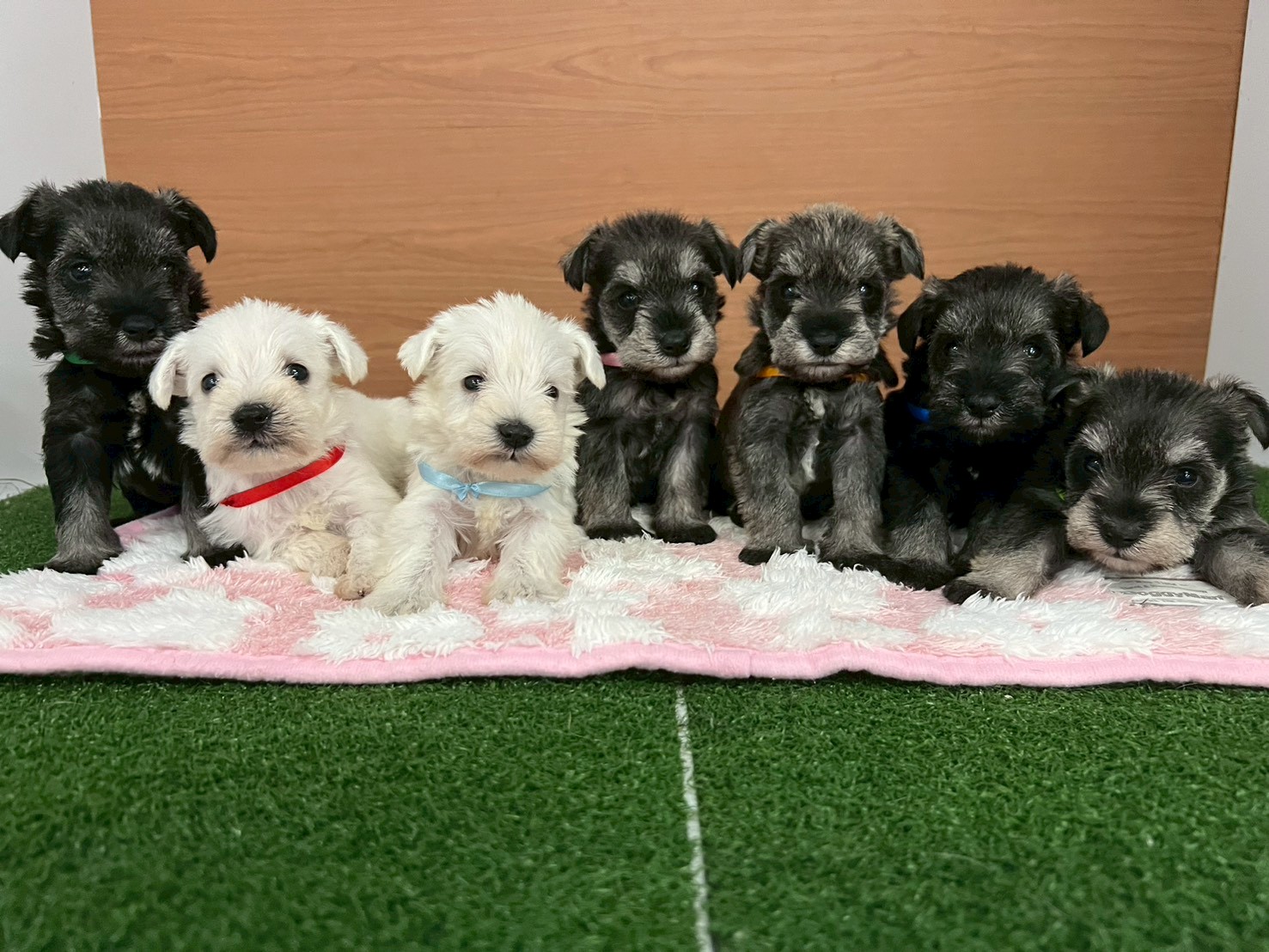 赤ちゃん写真2-3