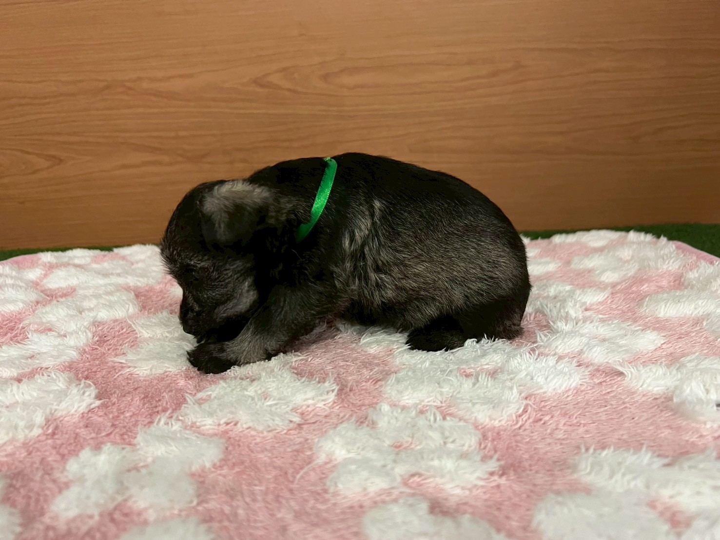赤ちゃん写真2-2